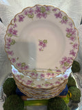 Antique Limoges Porcelain Bowls (8)