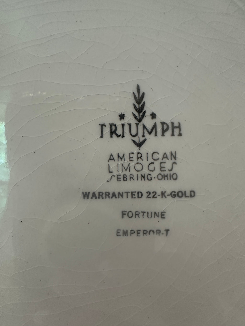 Limoges Vintage Dinner Plate (American)