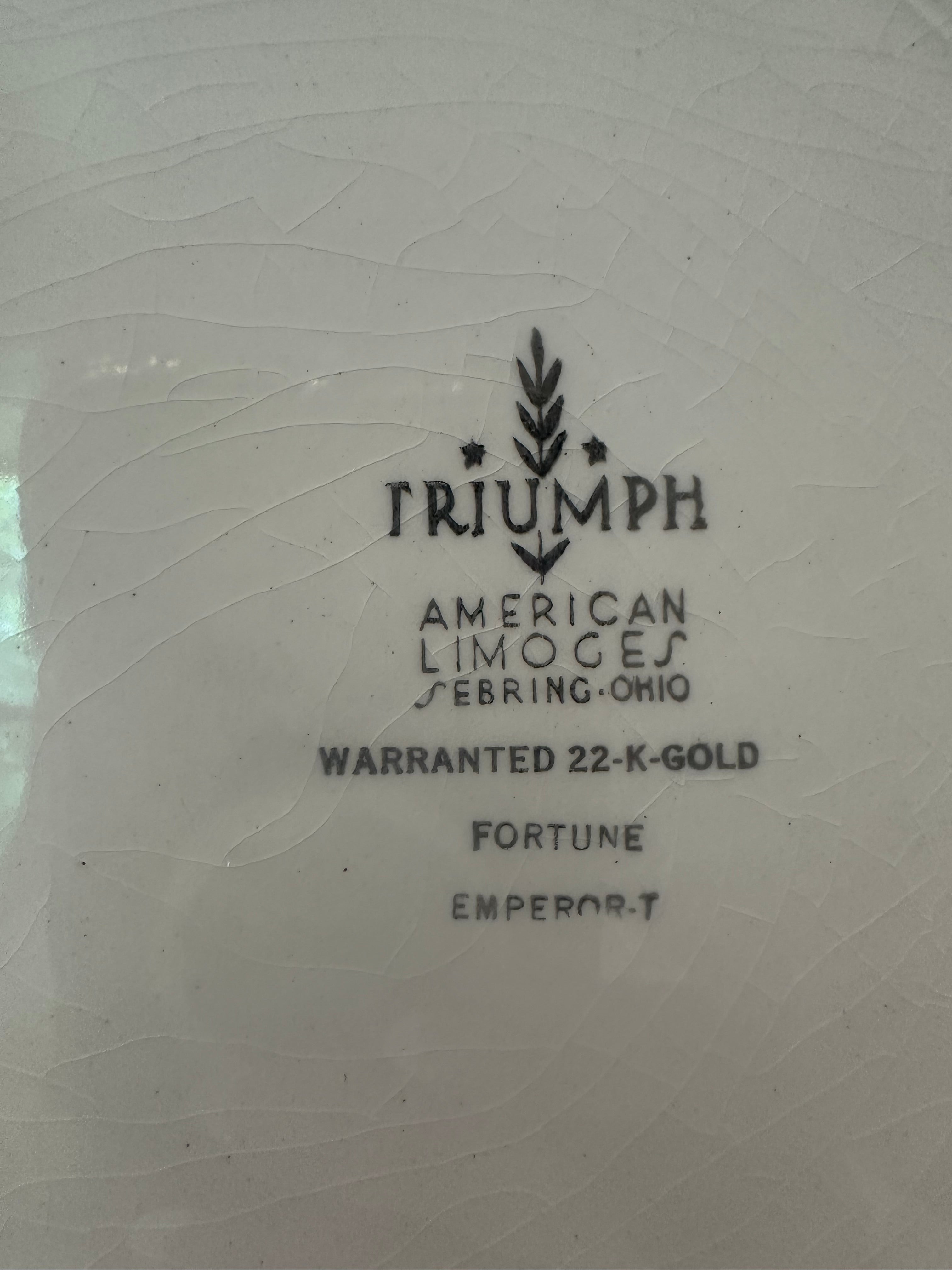 Limoges Vintage Dinner Plate (American)